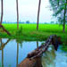Papikondalu | Papi Hills | Punnami Tourism